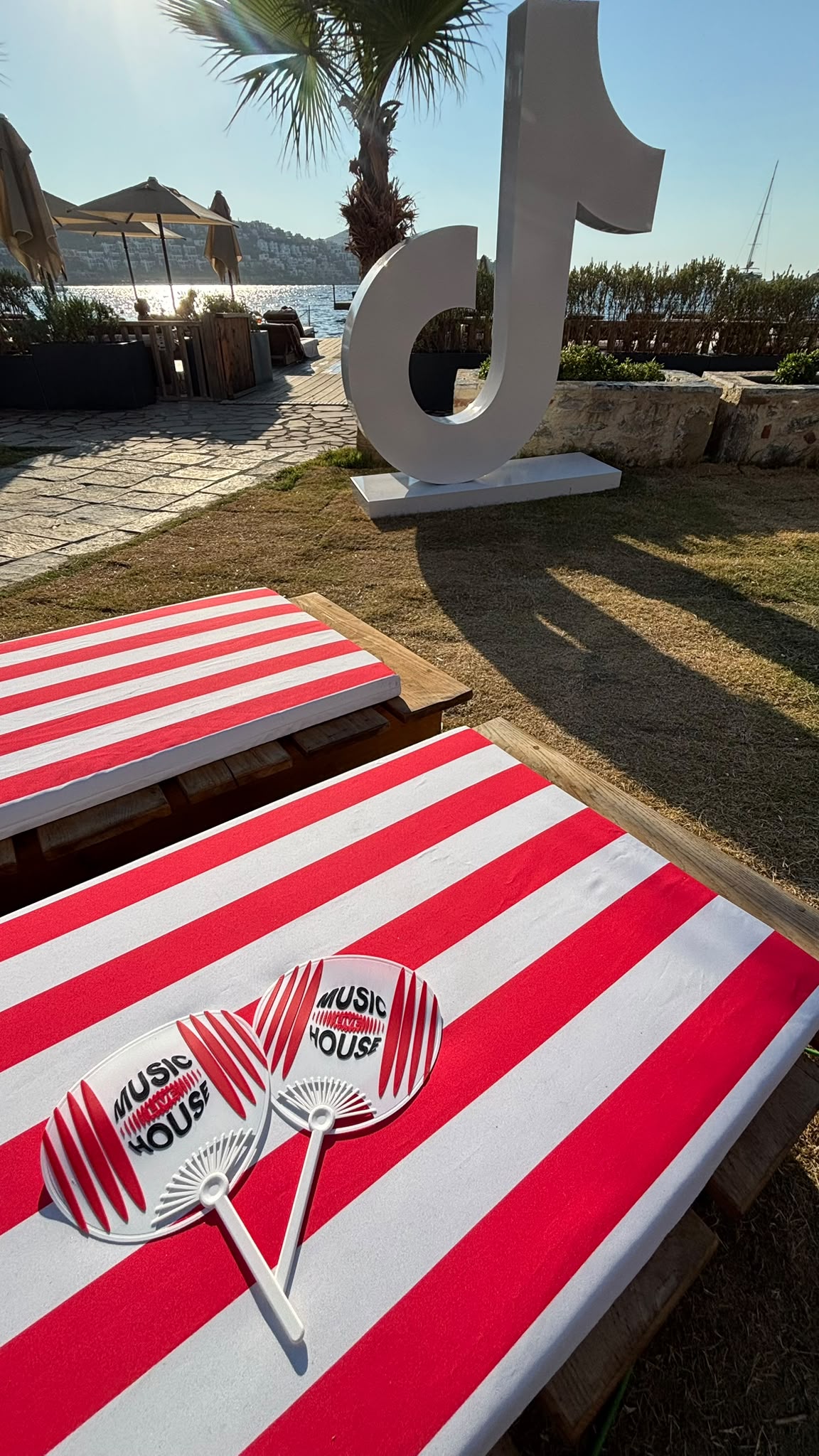 Tiktok Live